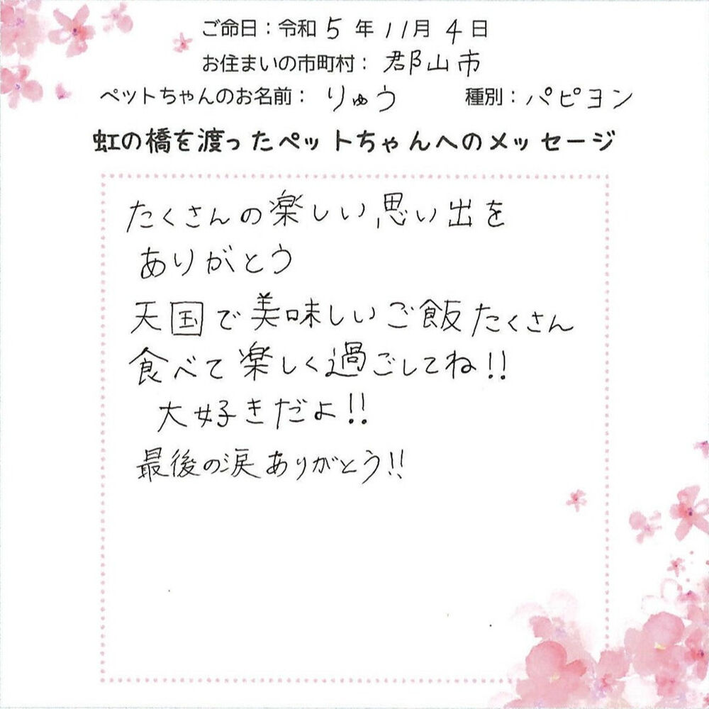 ブログ