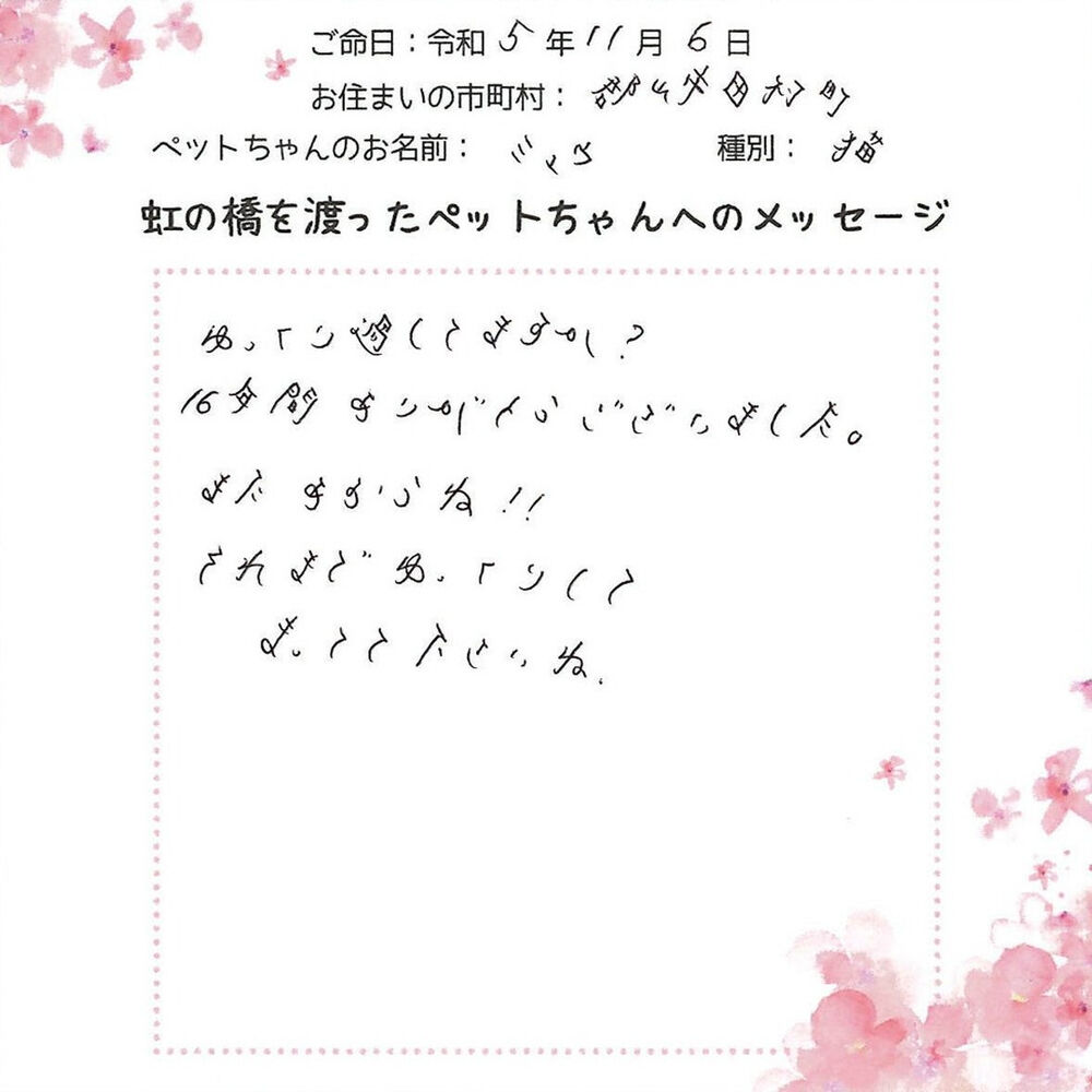ブログ
