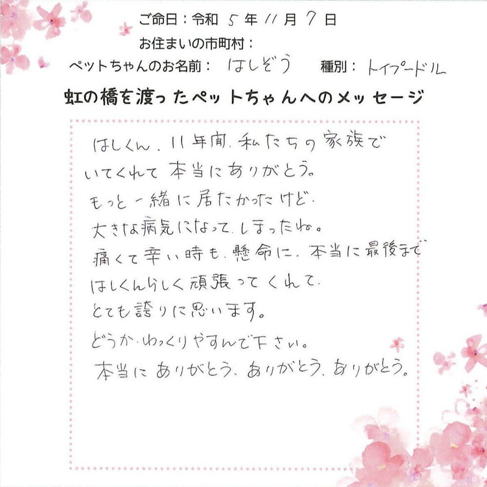 ブログ