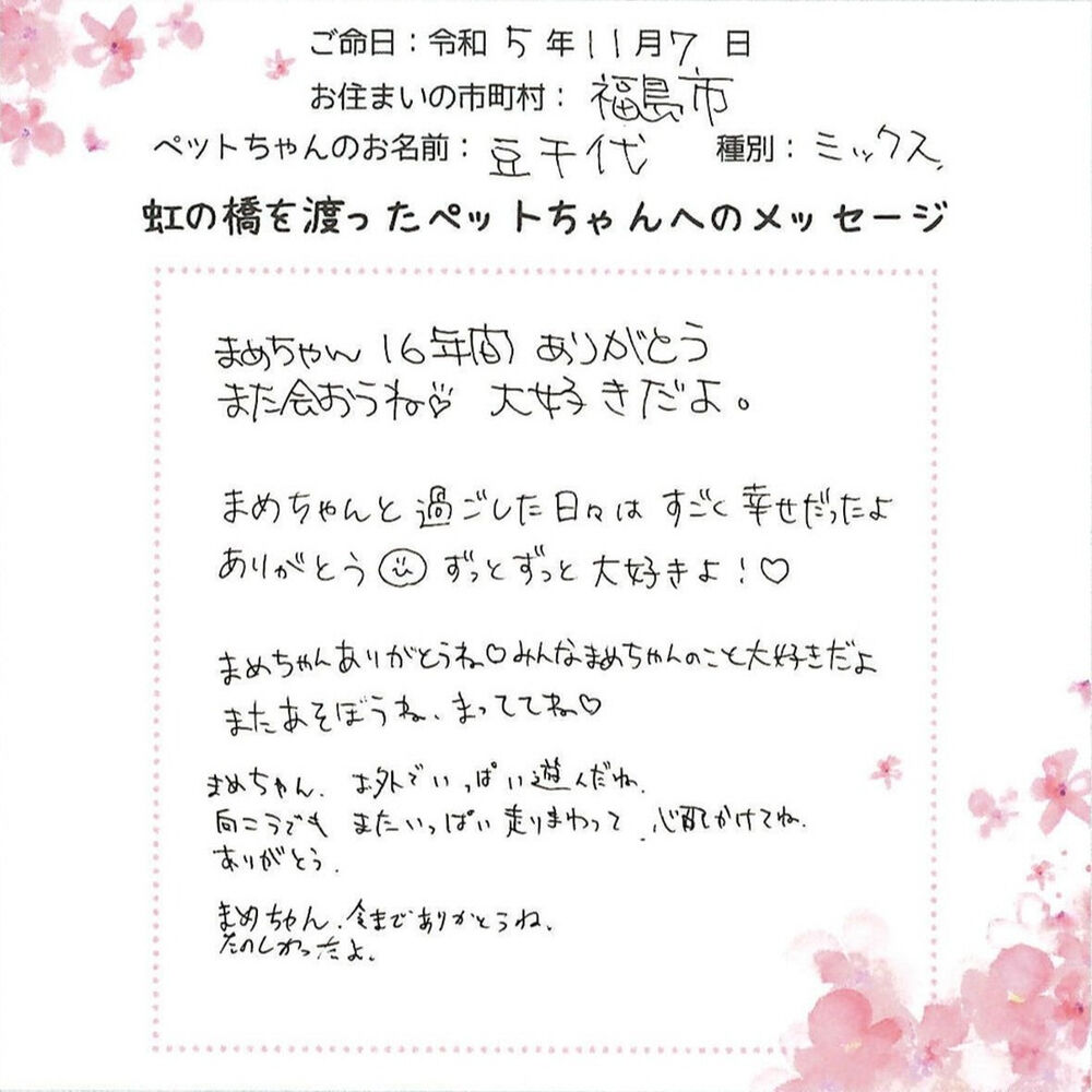 ブログ