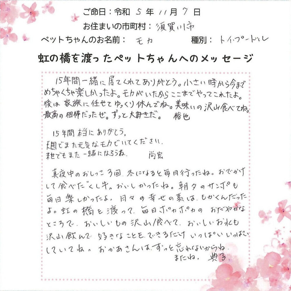 ブログ