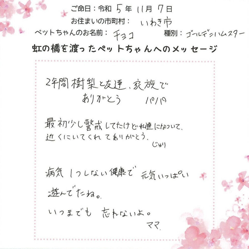 ブログ