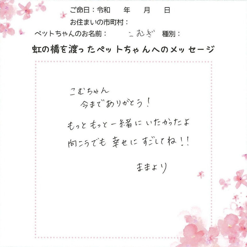 ブログ