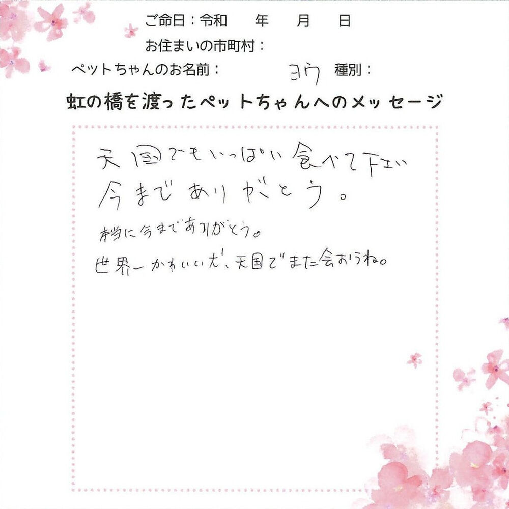 ブログ