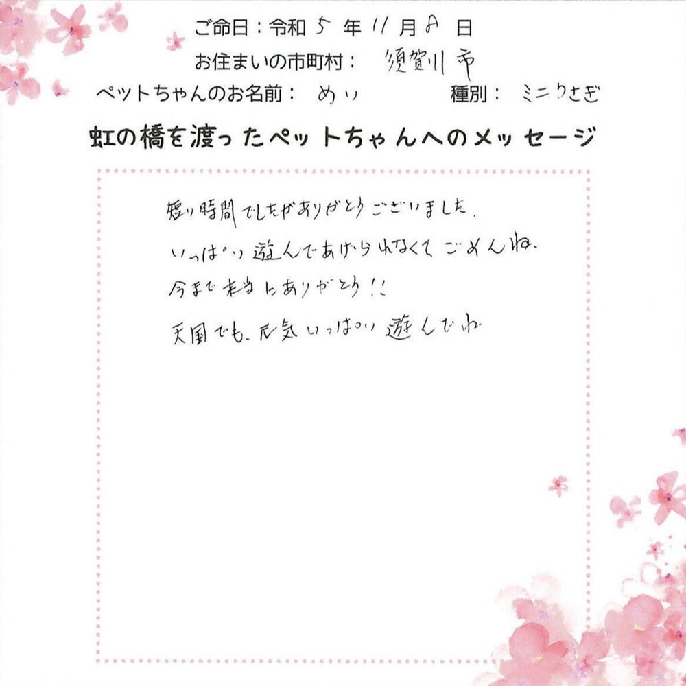 ブログ