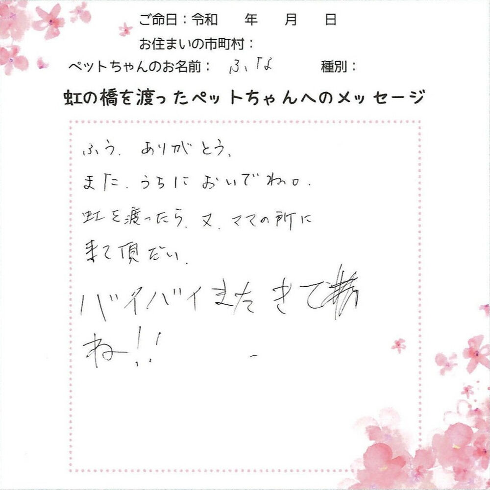 ブログ