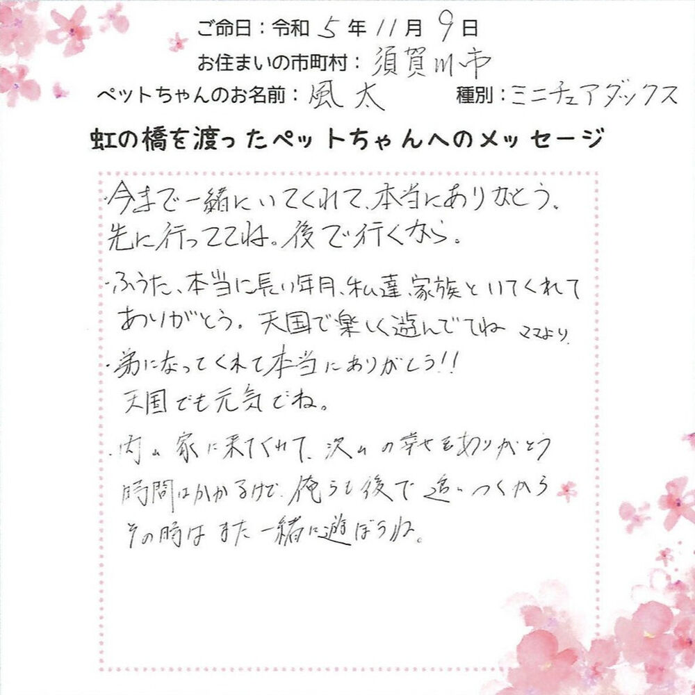 ブログ