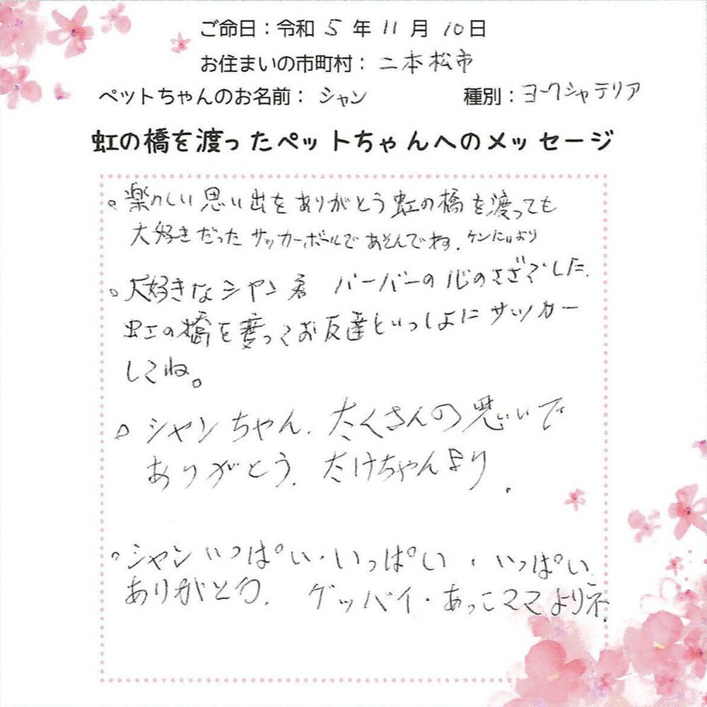 ブログ