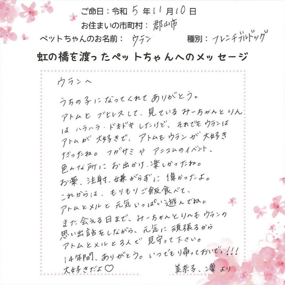 ブログ