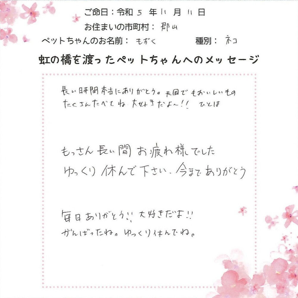 ブログ