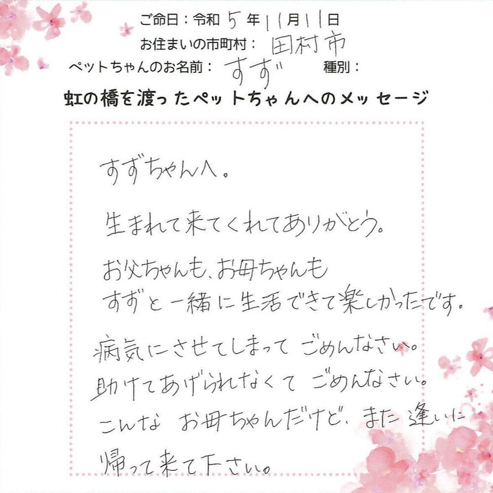 ブログ