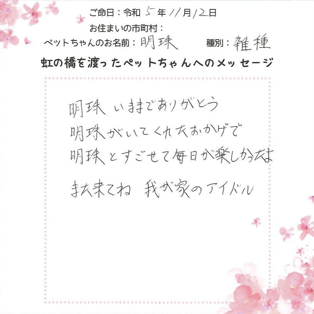 ブログ