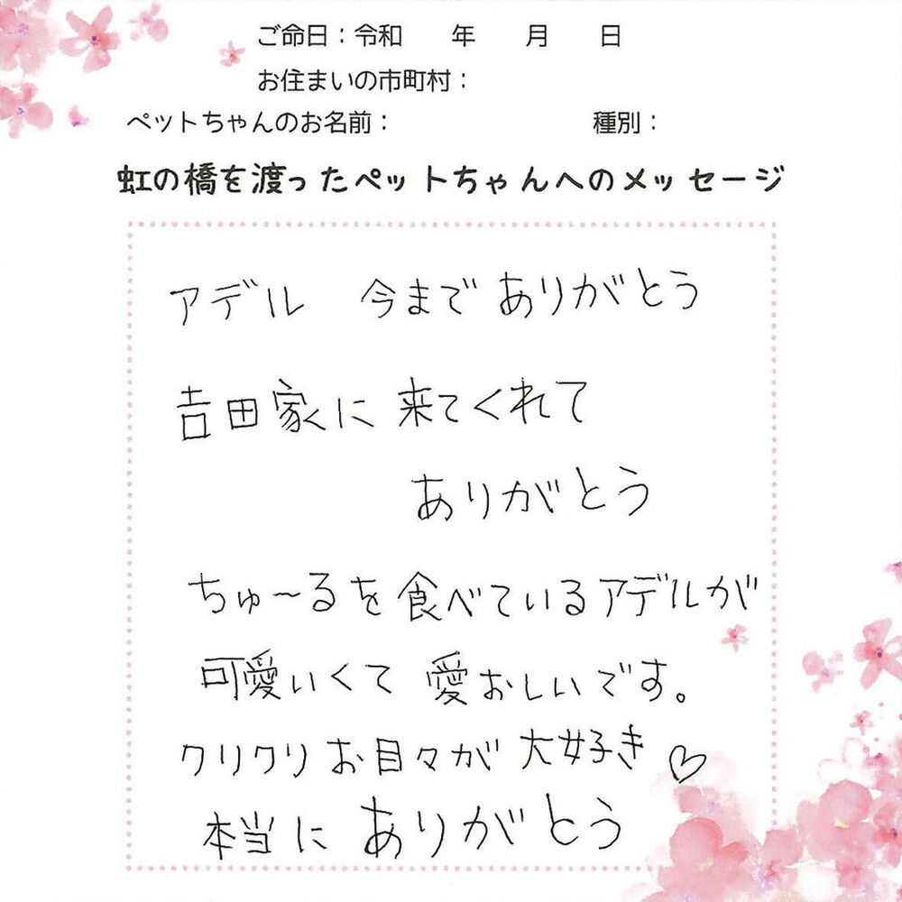 ブログ