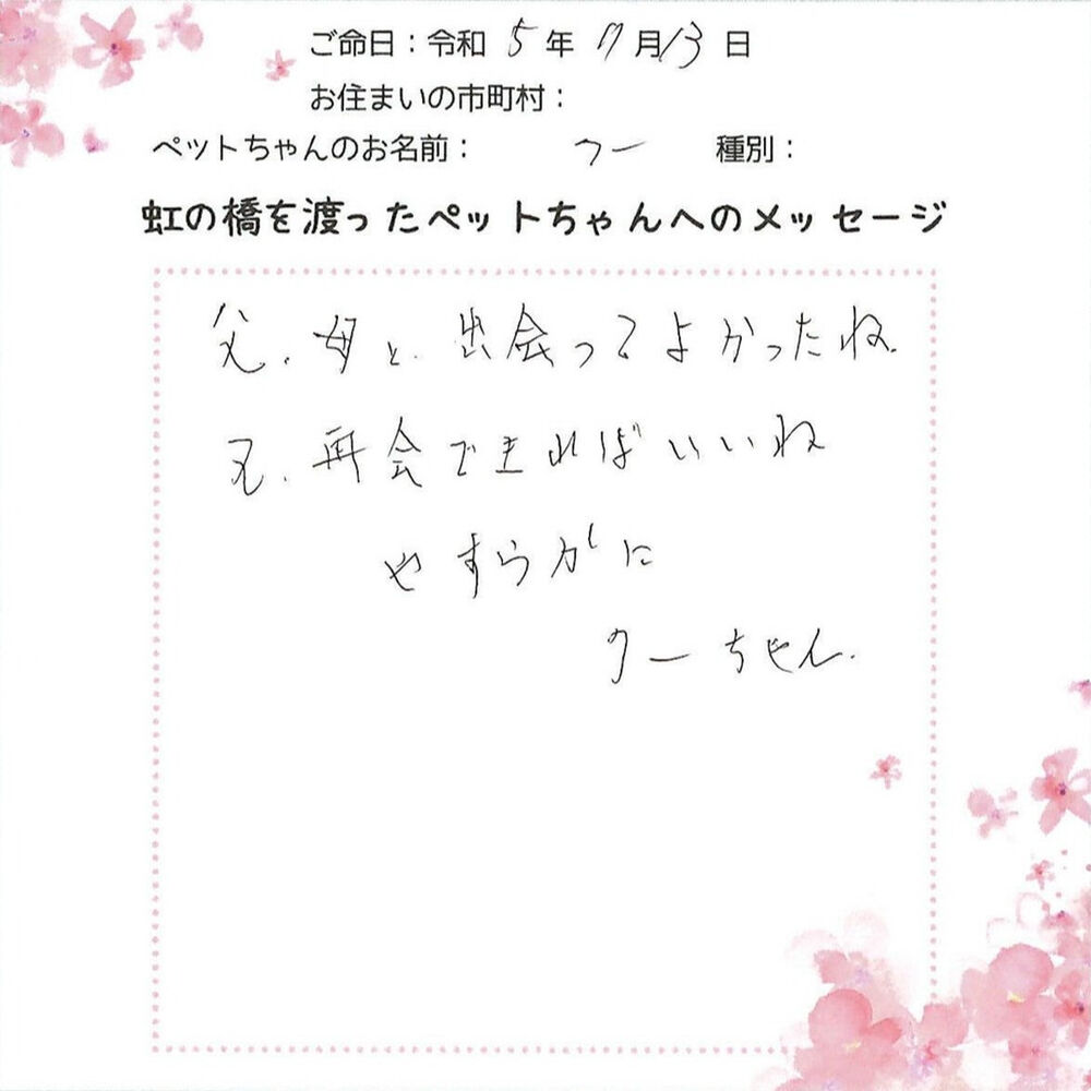ブログ