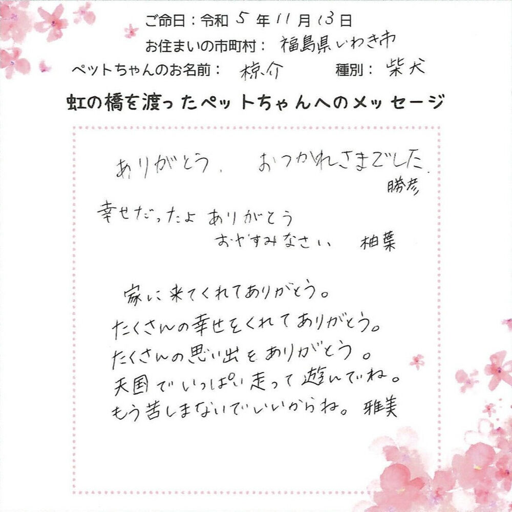 ブログ