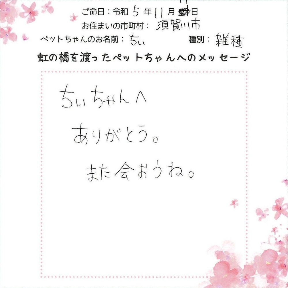 ブログ