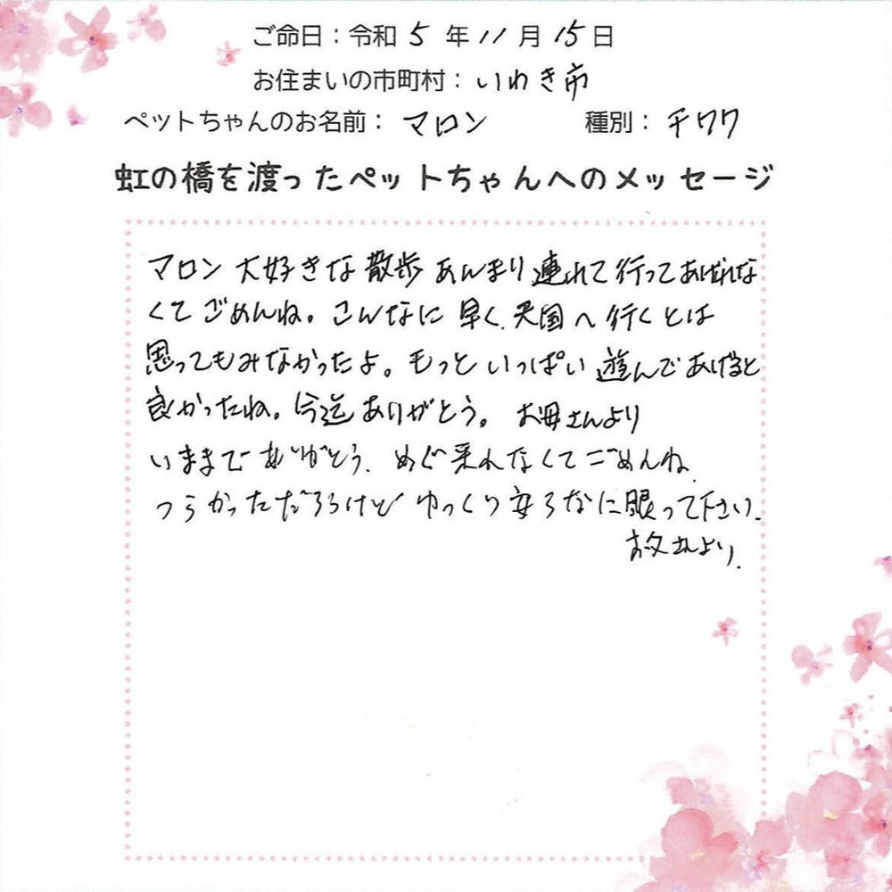 ブログ