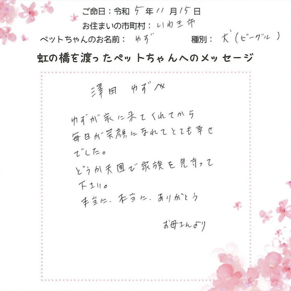 ブログ