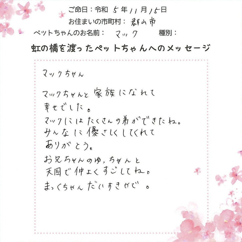 ブログ