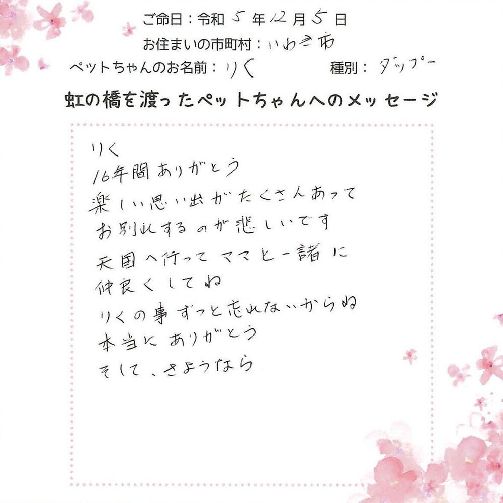 ブログ