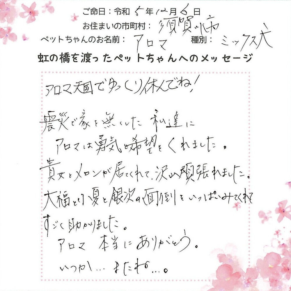ブログ