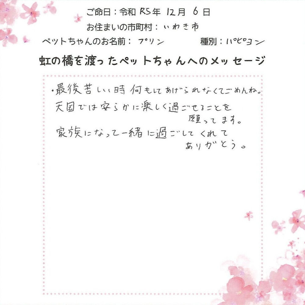 ブログ