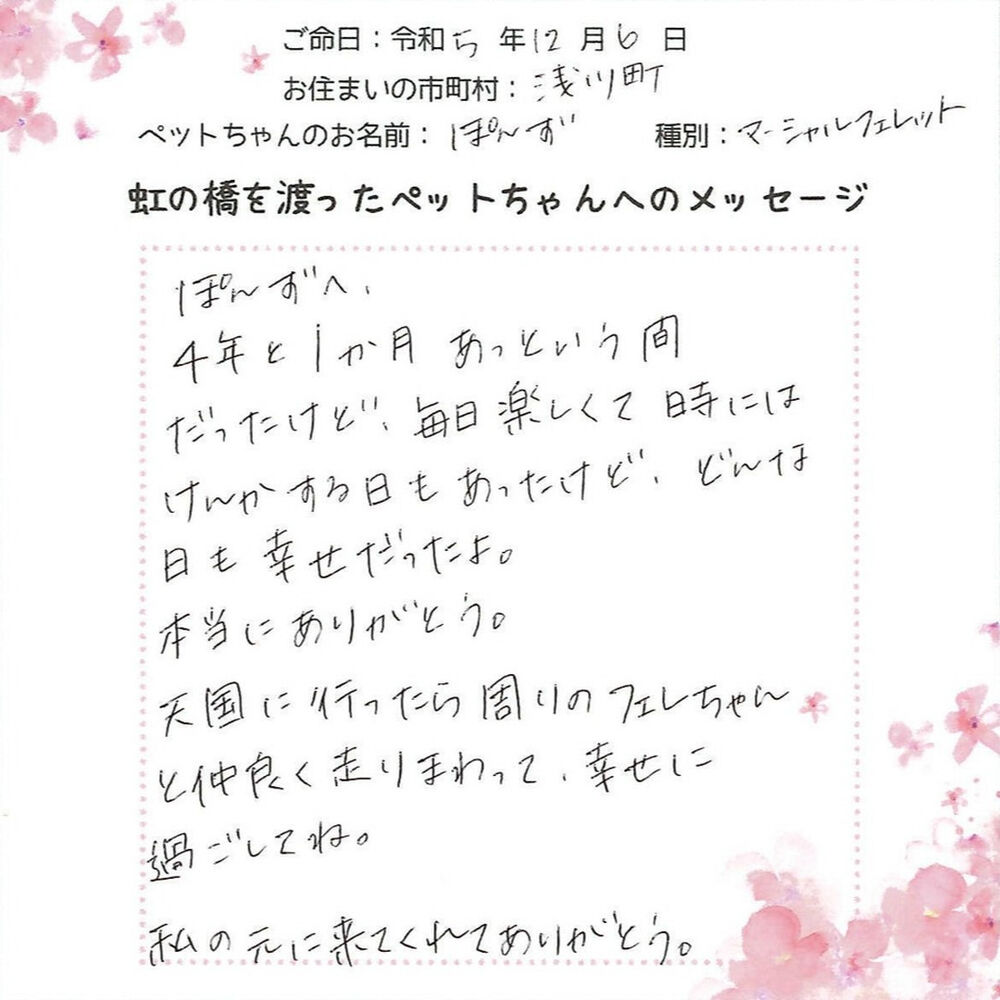 ブログ