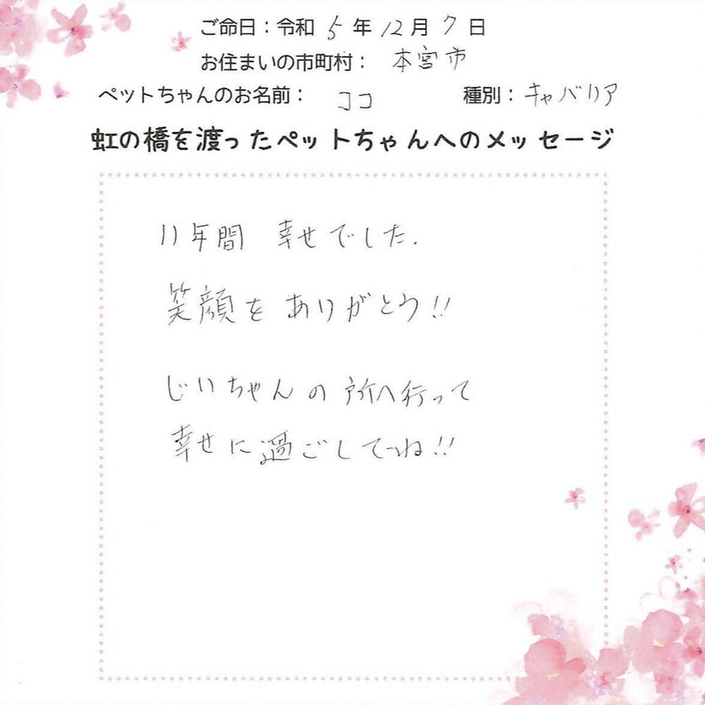 ブログ