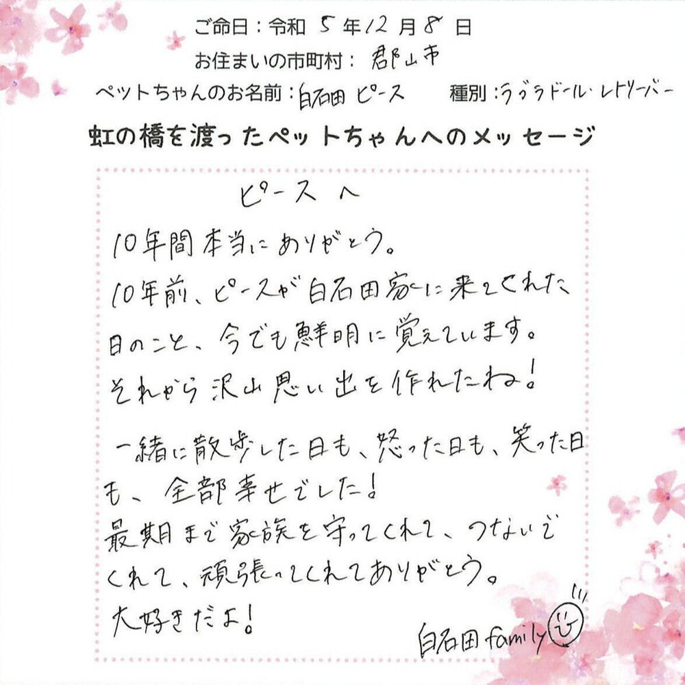 ブログ