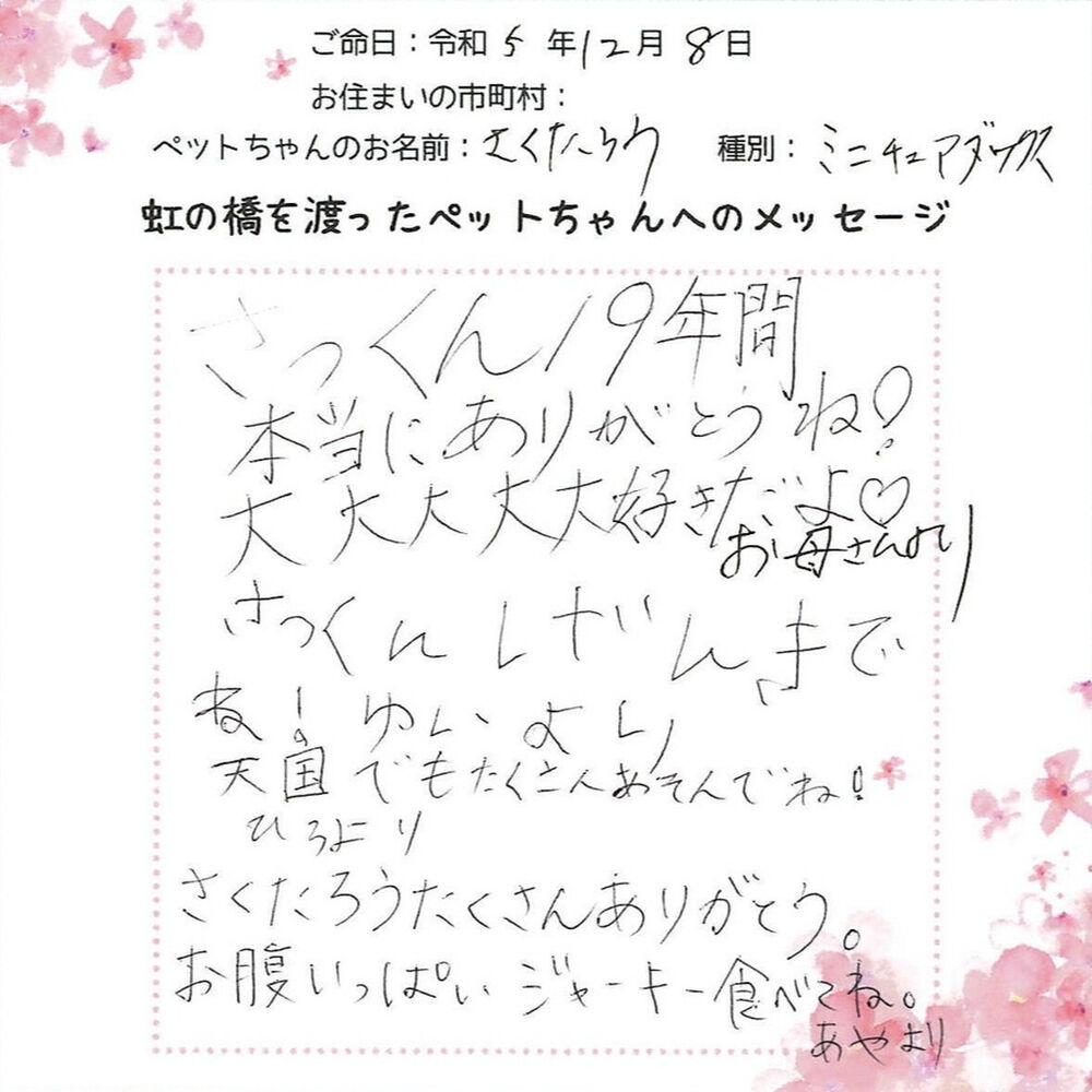 ブログ