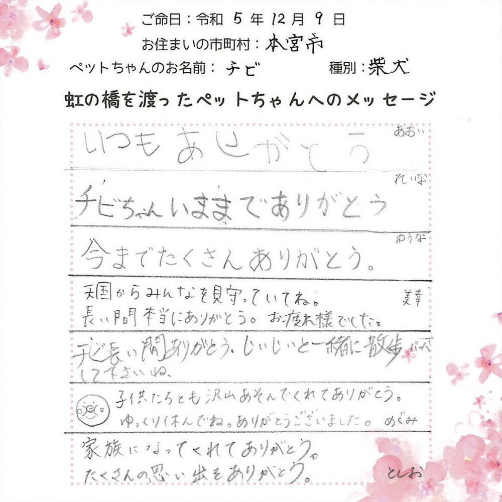 ブログ