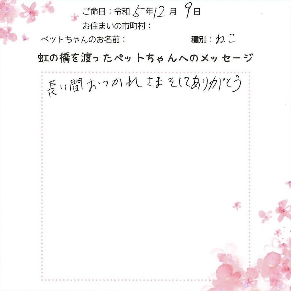 ブログ