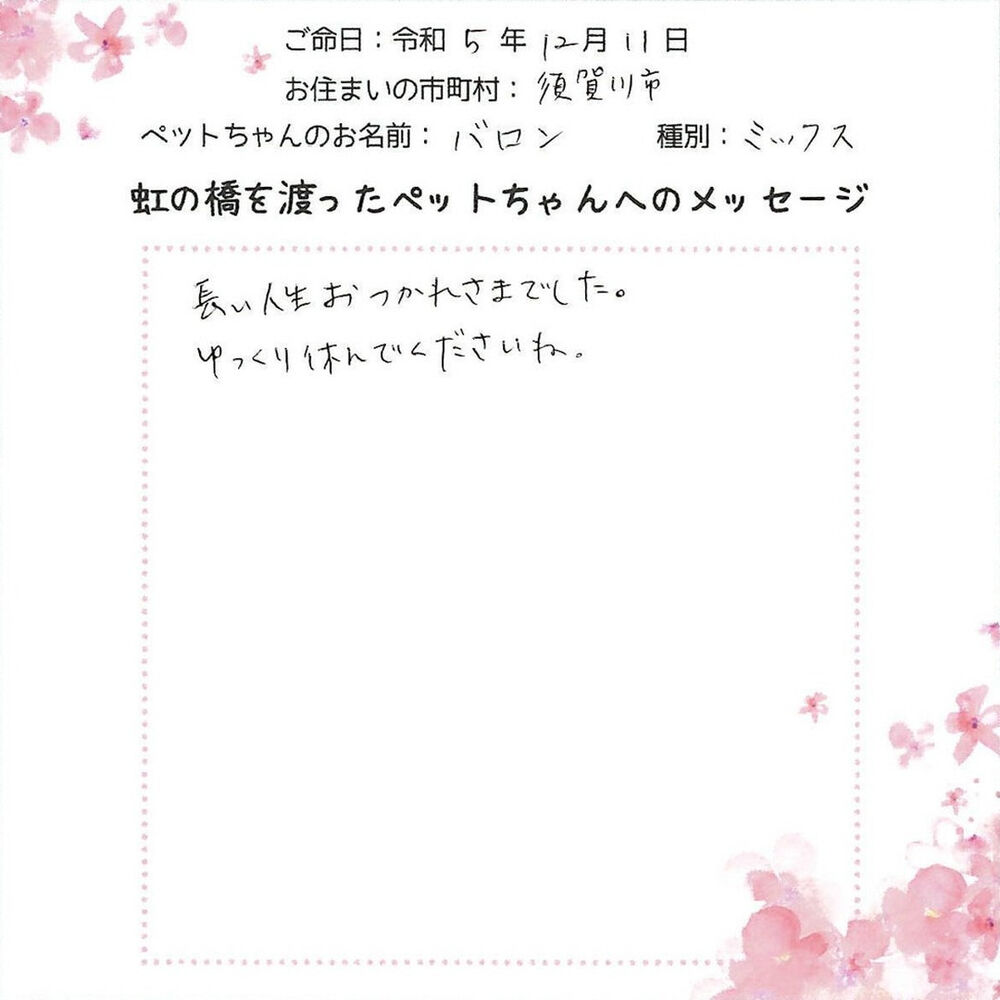 ブログ