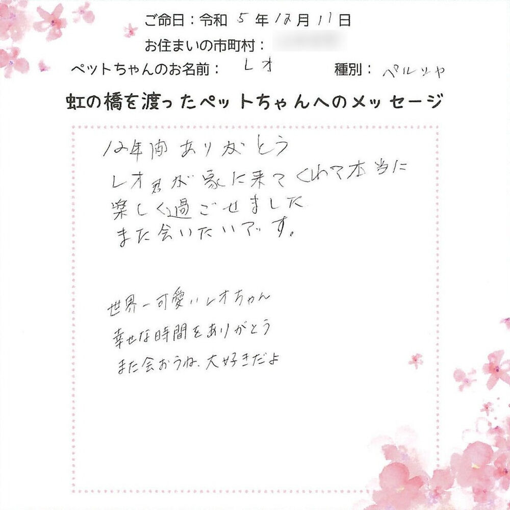 ブログ