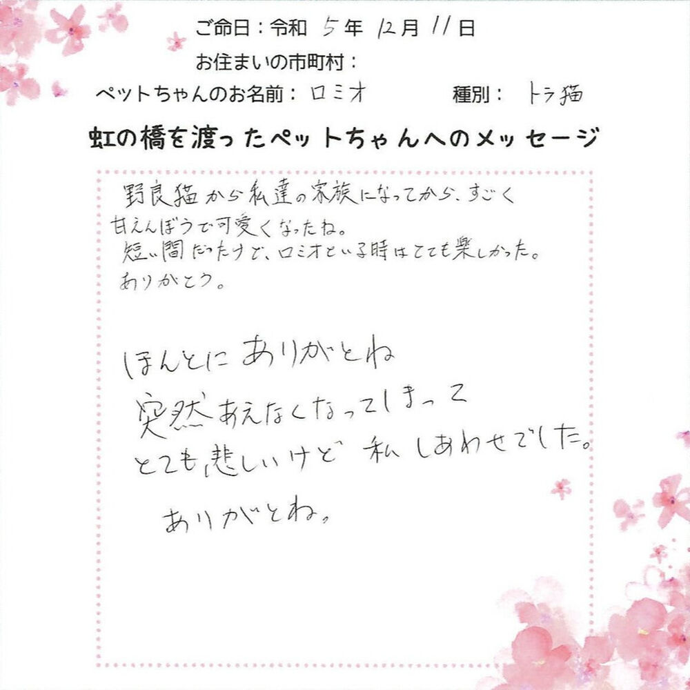 ブログ