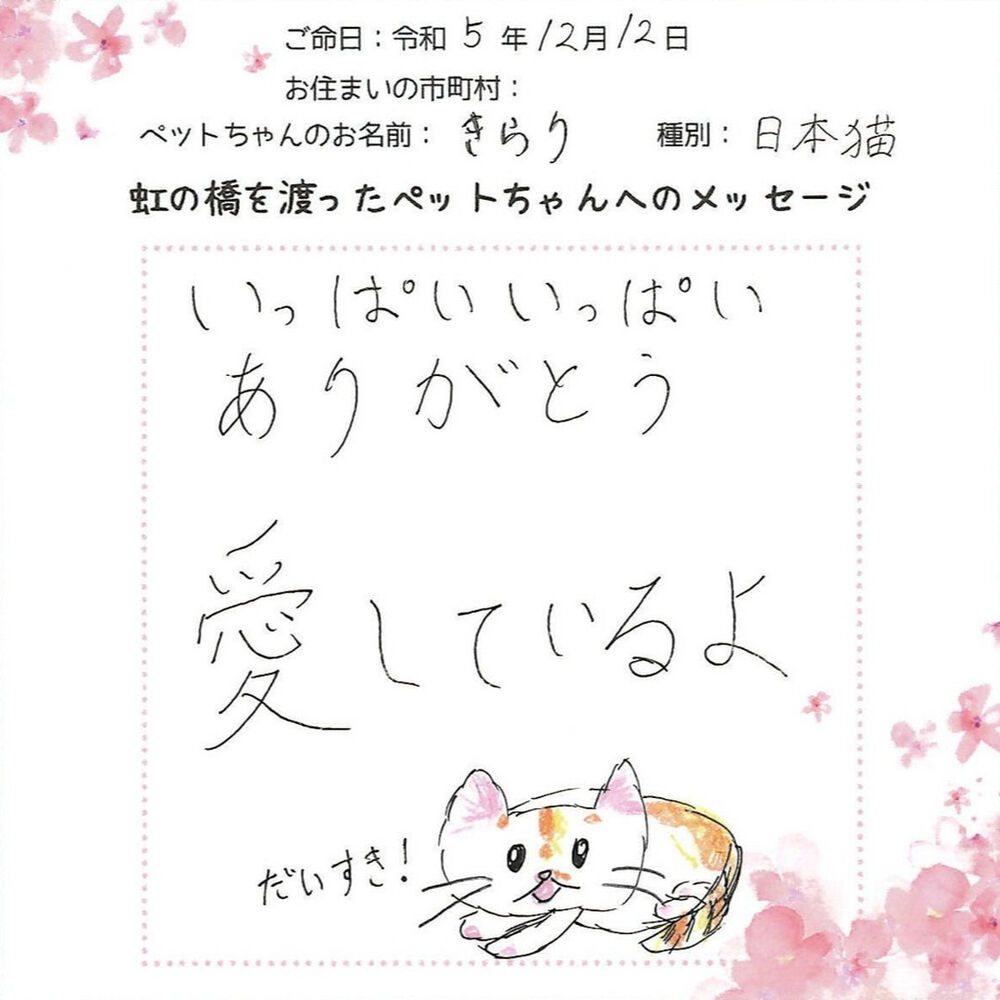 ブログ
