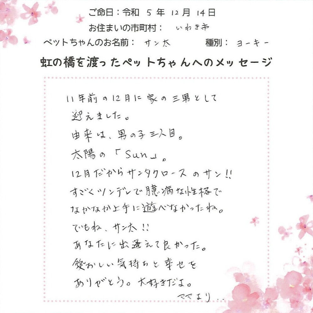 ブログ