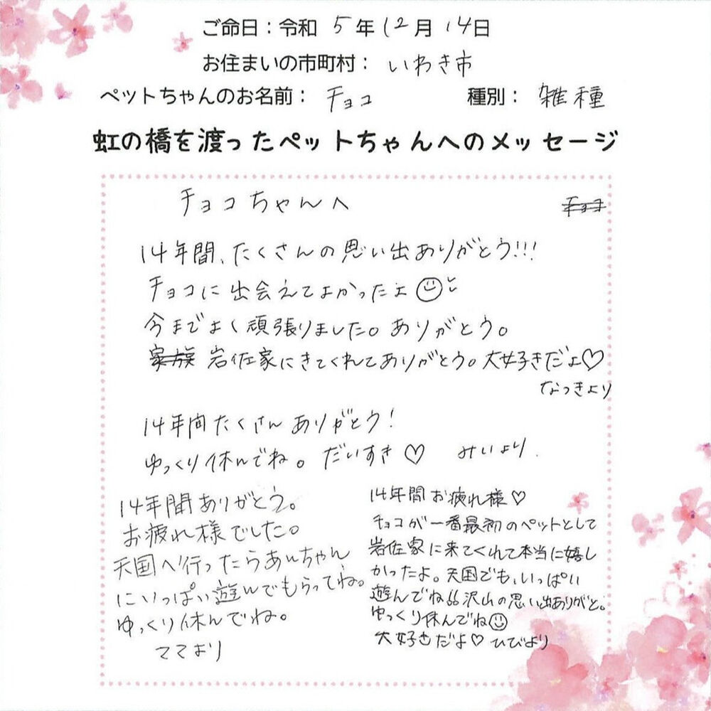 ブログ