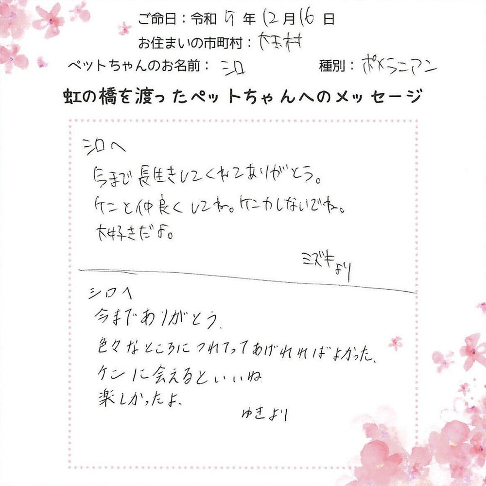 ブログ
