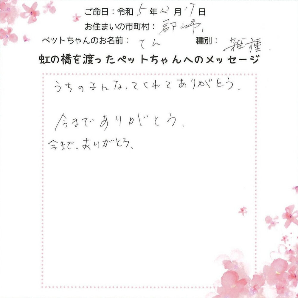 ブログ