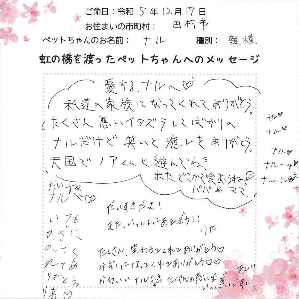 ブログ