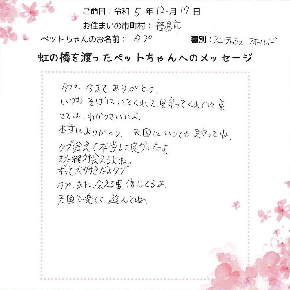 ブログ