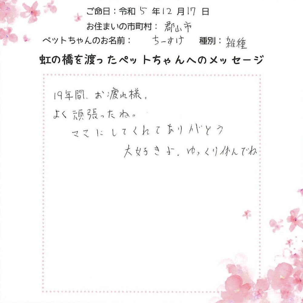 ブログ