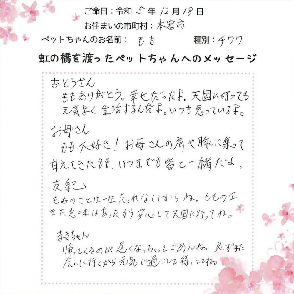 ブログ