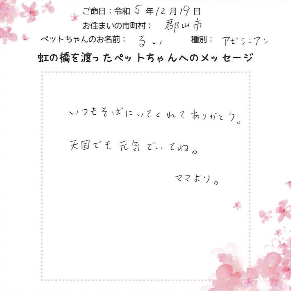 ブログ