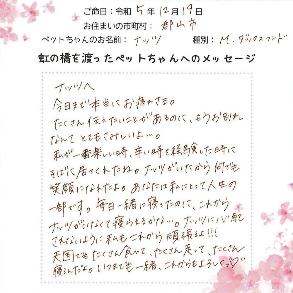 ブログ