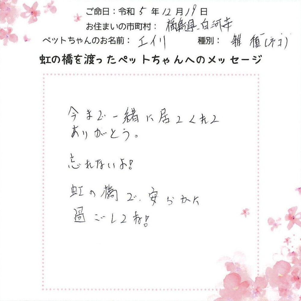 ブログ