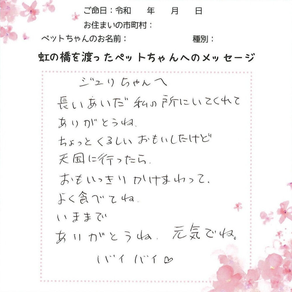 ブログ