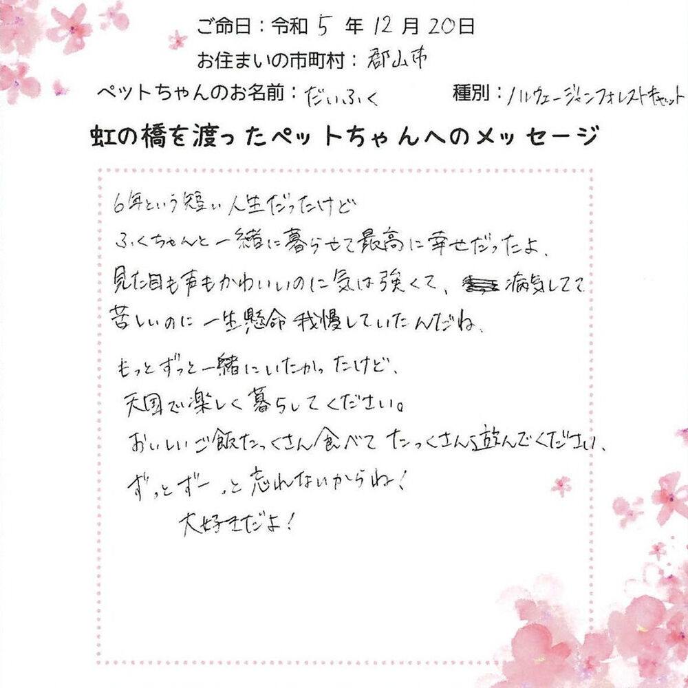 ブログ