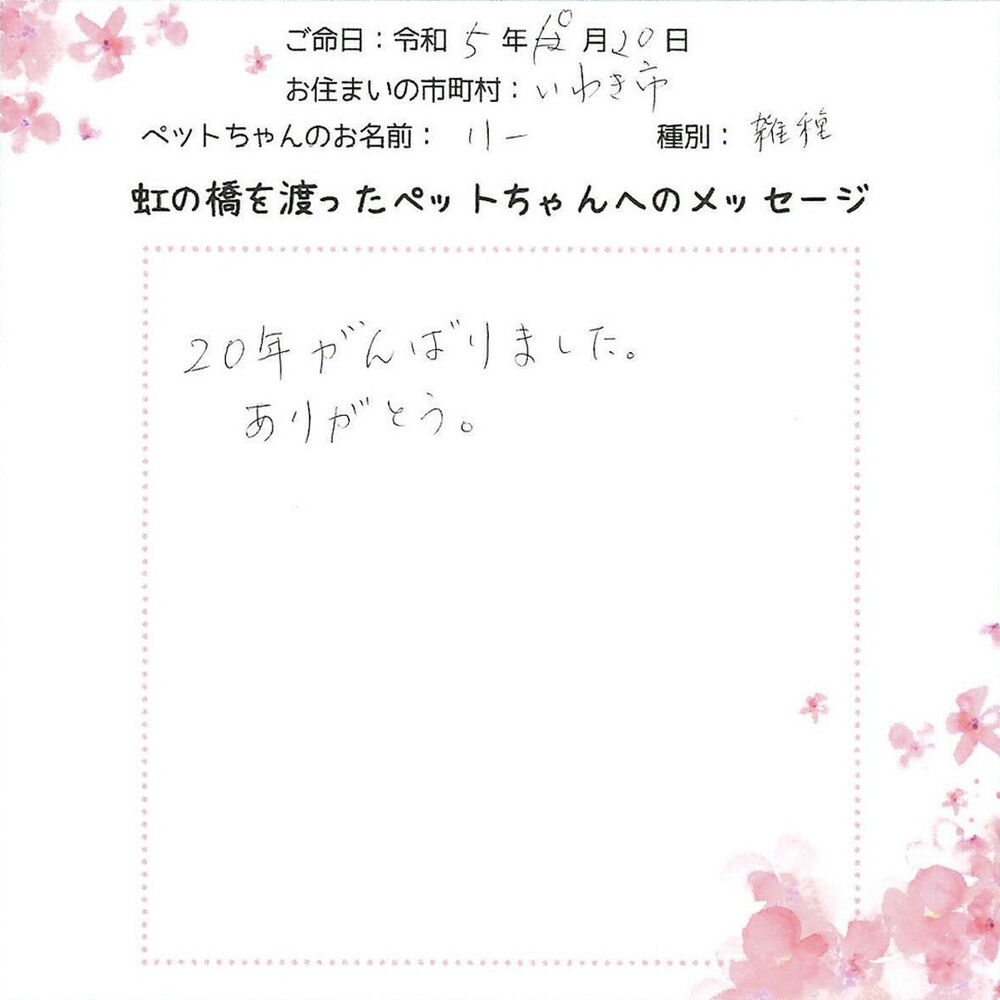 ブログ